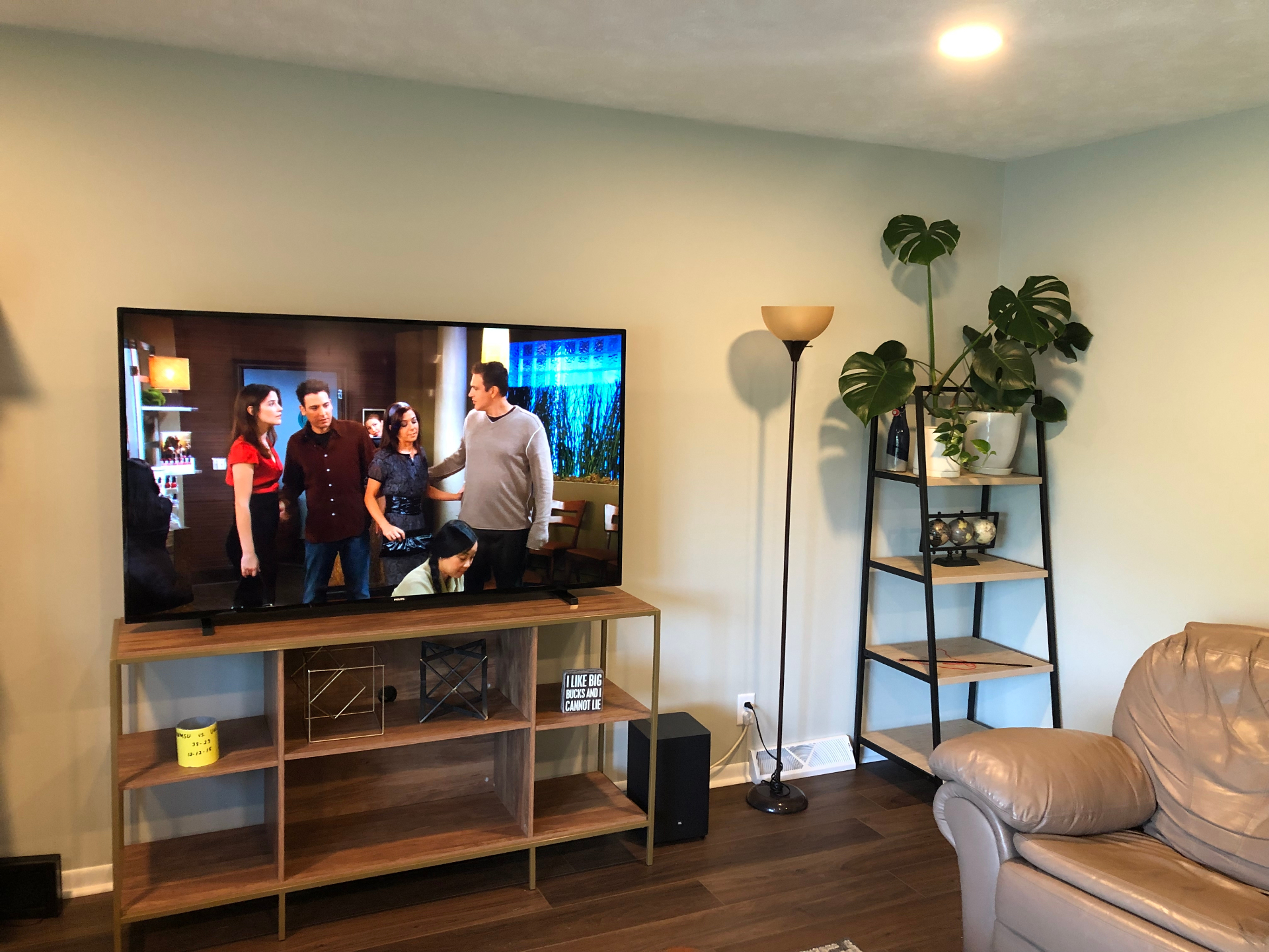Finished living room wall painted a soft light neutral, with a TV console, shelving unit, and dark wood-look flooring
