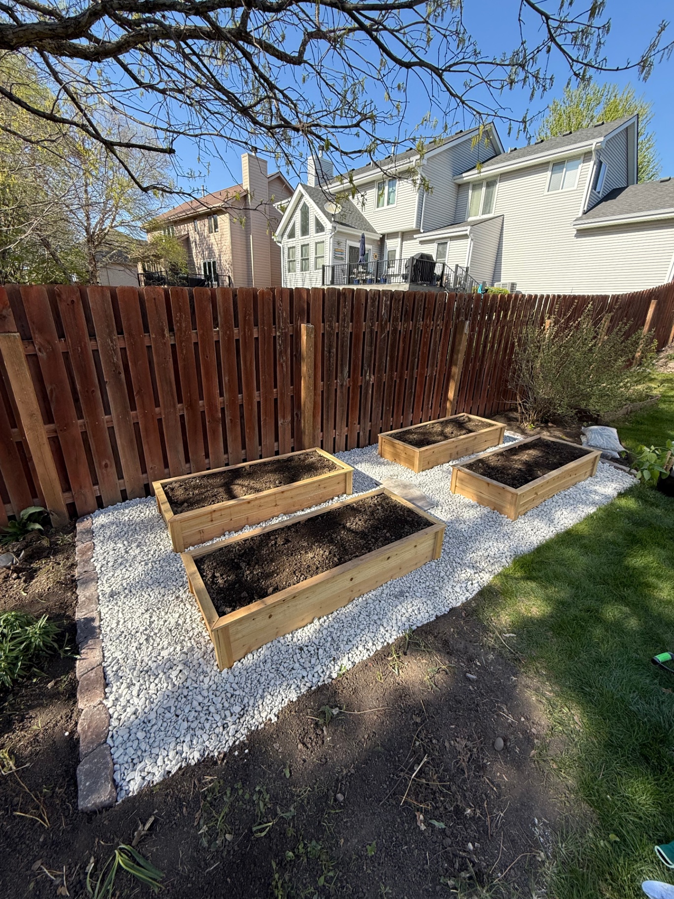 Four cedar raised garden beds set on a white rock gravel bed with a paver border along a wood privacy fence